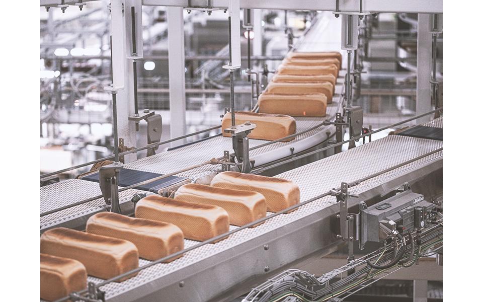 Efficient and effective food conveyors to increase food production